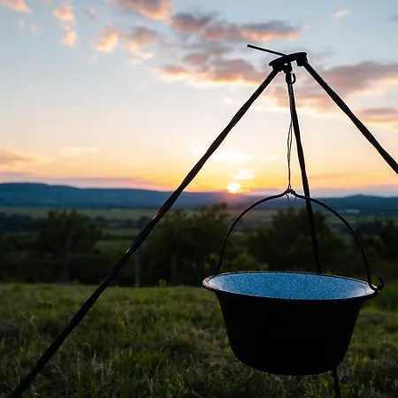 Hillside 2 A Szent Gyoergy-hegy Lankain *