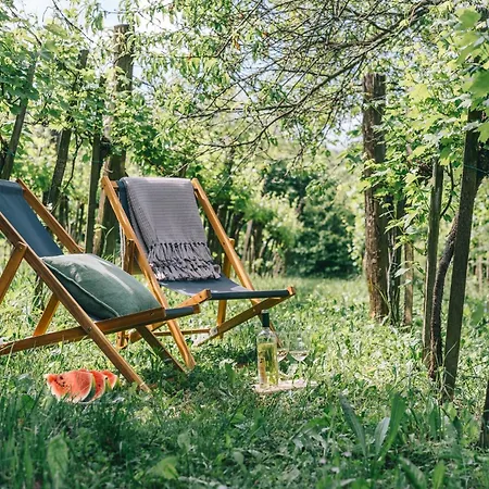 Hillside 2 A Szent Gyoergy-hegy Lankain Holiday home Tapolca